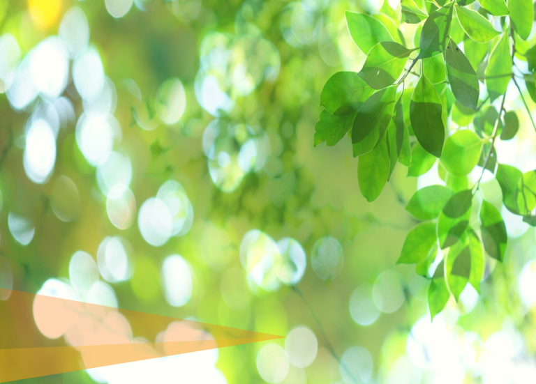 コース・授業料